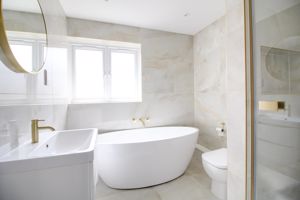 Photo 1- click for photo gallery